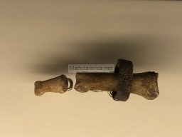 Tumba de la Almoloya 2022